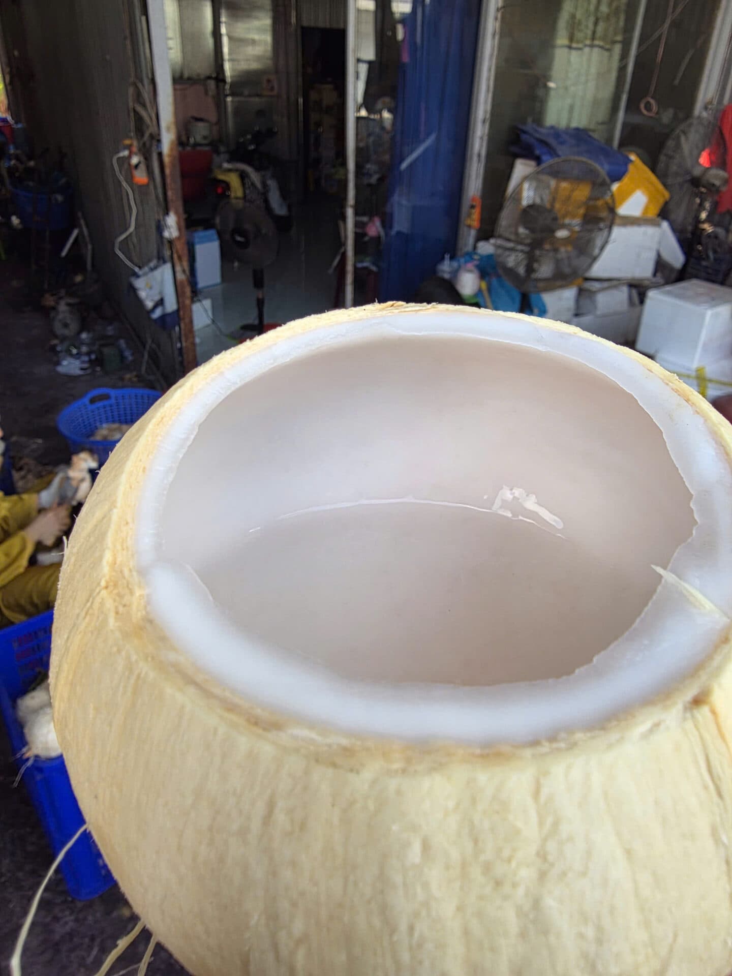 Buồng dừa xiêm xanh và xiêm lửa đỏ cam xếp chung trên xe tải