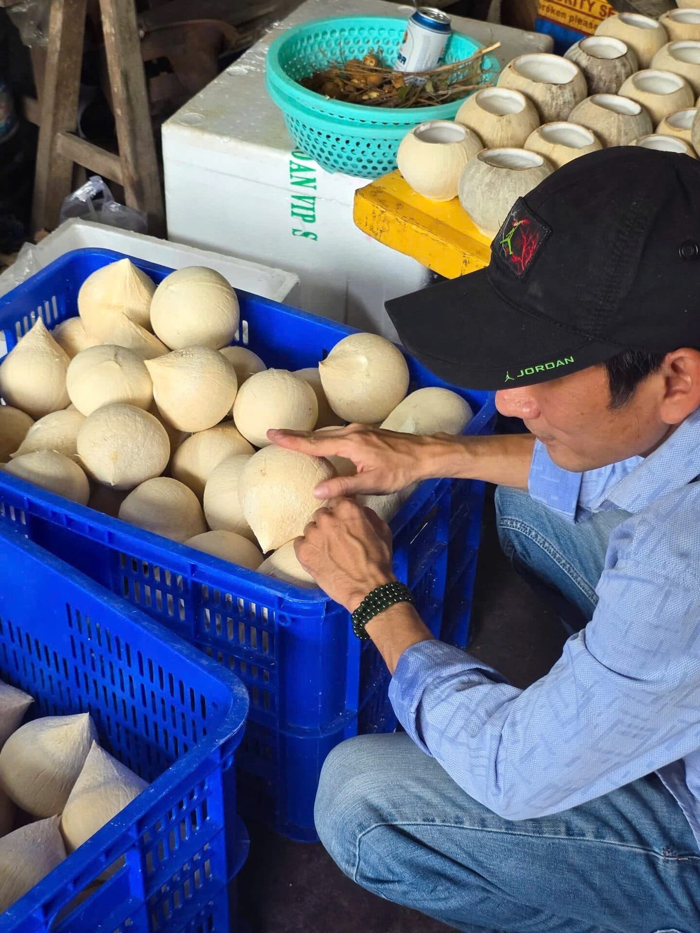 Vận Chuyển Dừa Xiêm Bến Tre → Hà Nội 1.500km: Bí Quyết Giữ Tươi