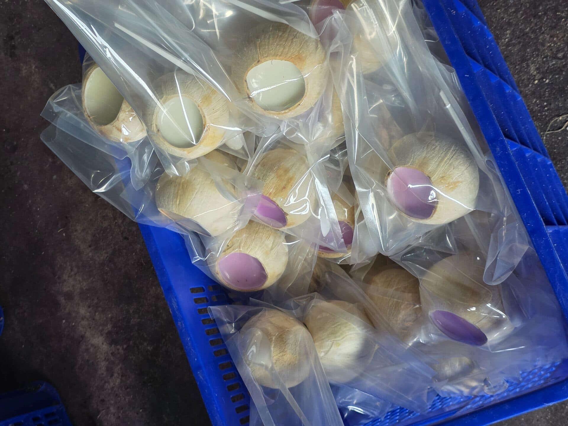 Dừa sọ bọc nylon nắp tím xếp rổ xanh — bảo vệ nắp khi vận chuyển