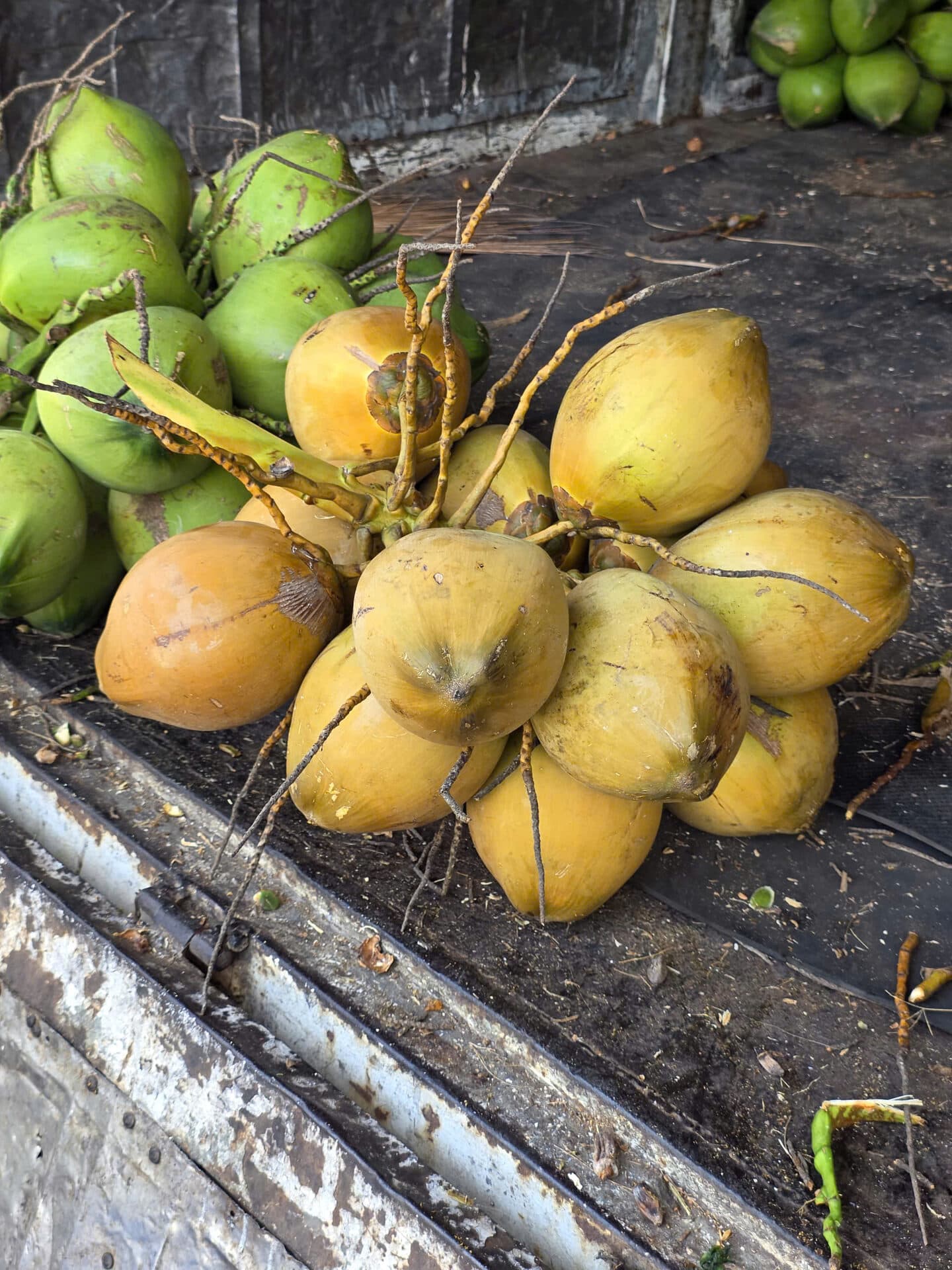 Dừa sọ khui nắp close-up — cơm dừa trắng ngà tự nhiên không tẩy