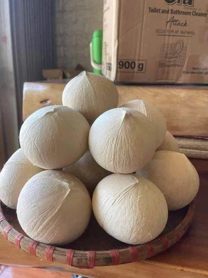 Dừa sọ nguyên gáo xếp kim tự tháp trên mâm tre — gáo tự nhiên