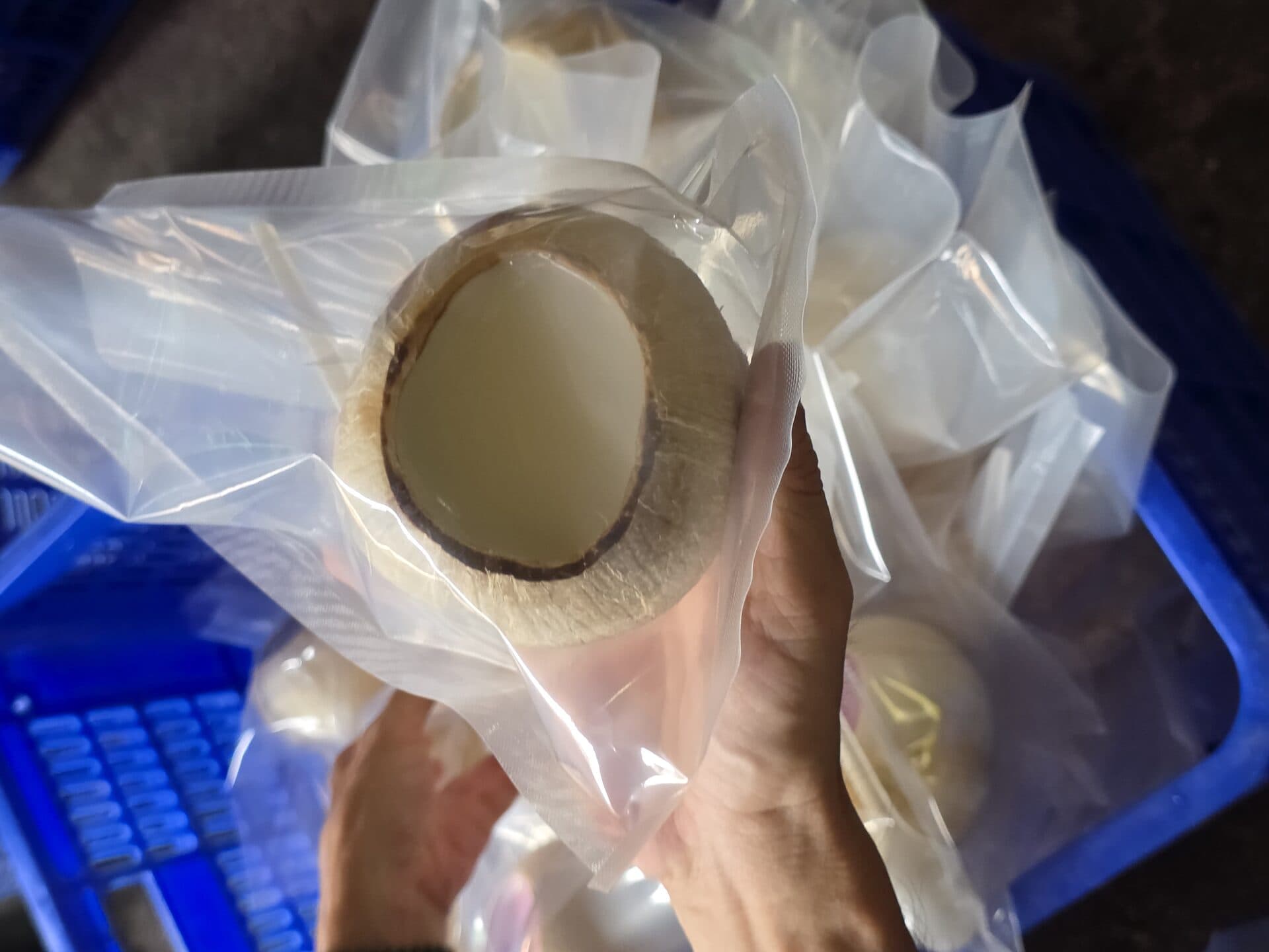 Dừa sọ nước đầy bọc nylon — thể tích 250–300ml phù hợp sau tập