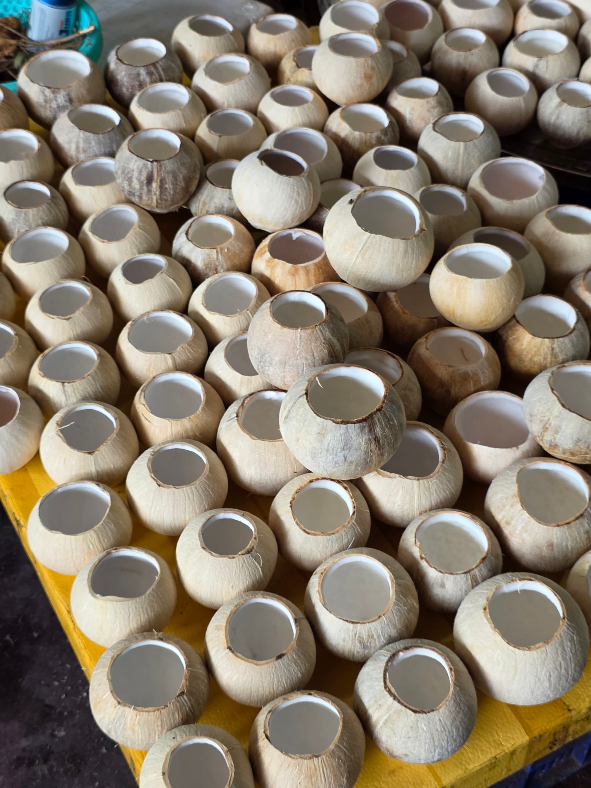 Dừa Xiêm Bến Tre — dừa sọ gọt sẵn xếp hàng tại vựa Thạnh Phú