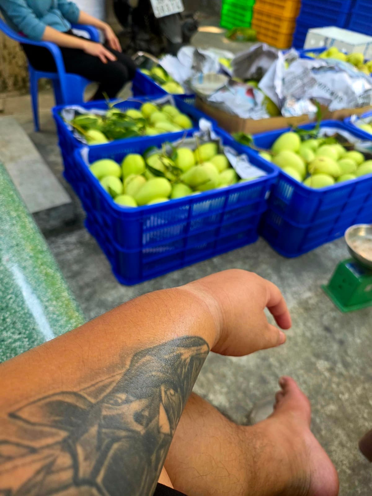 Kiểm tra xoài tại vựa