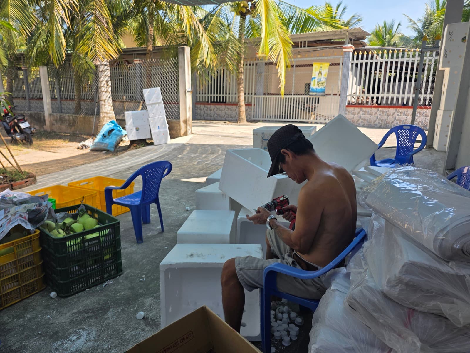 VietGAP xoài tứ quý là gì — tiêu chuẩn, ý nghĩa và cách nhận biết