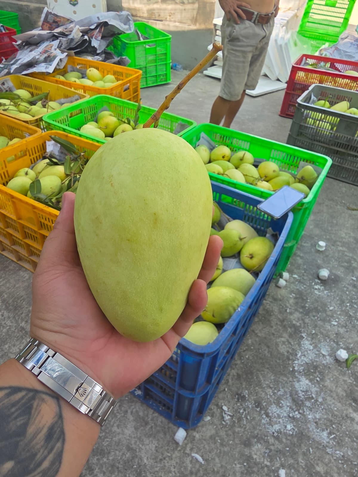 Cách làm xoài lắc ngâm chua cay — công thức từ nhà vườn miền Tây