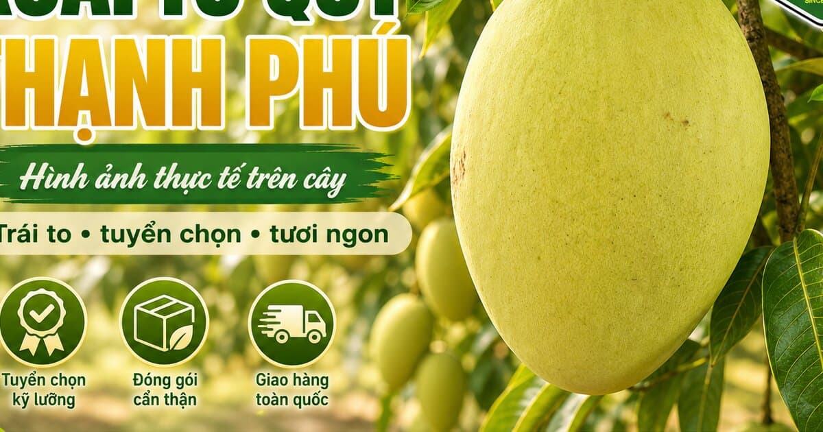 Mùa vụ xoài Tứ Quý — 3 vụ/năm + bảng giá theo tháng 2026