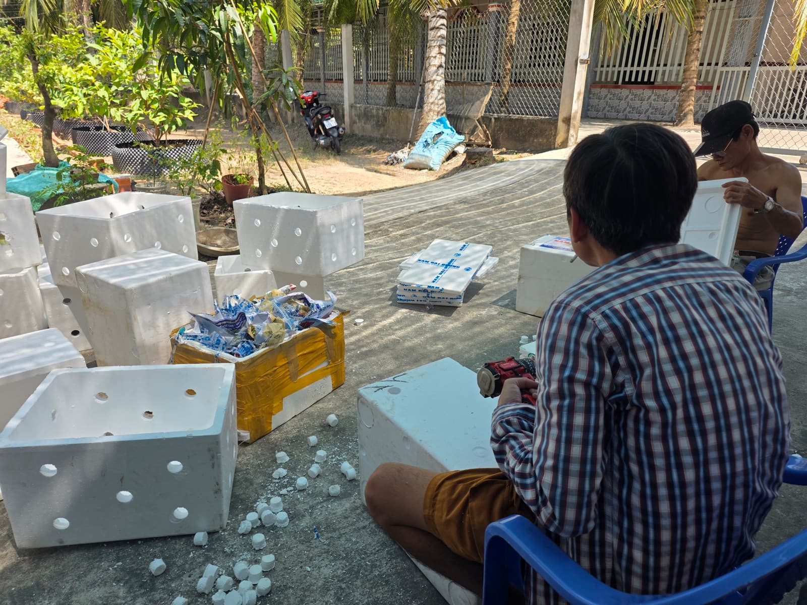 Giá Xoài Tứ Quý Tuần 14/2026 — Cập Nhật Thị Trường