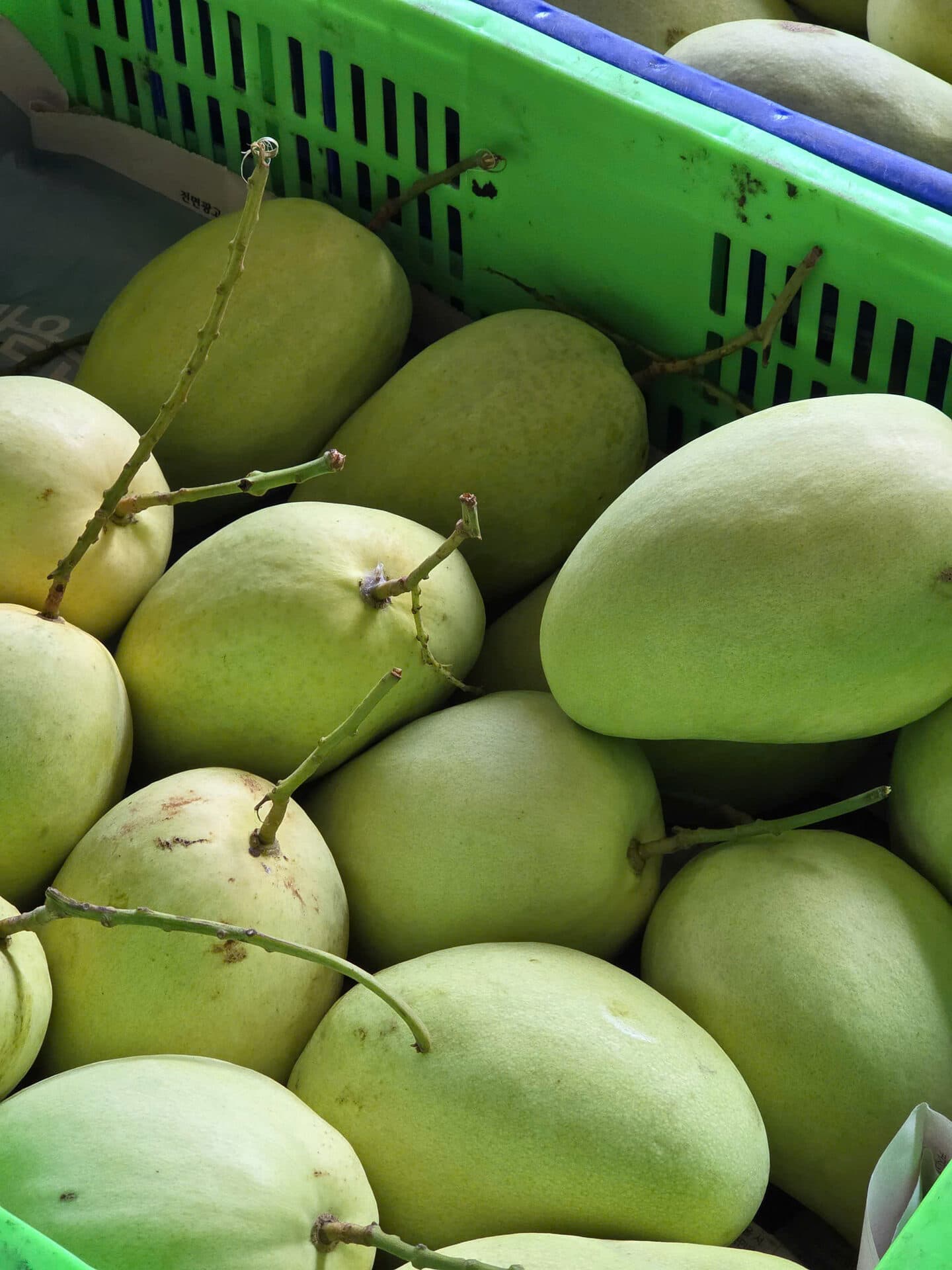 トゥクイマンゴー — 2等品 — ảnh 3