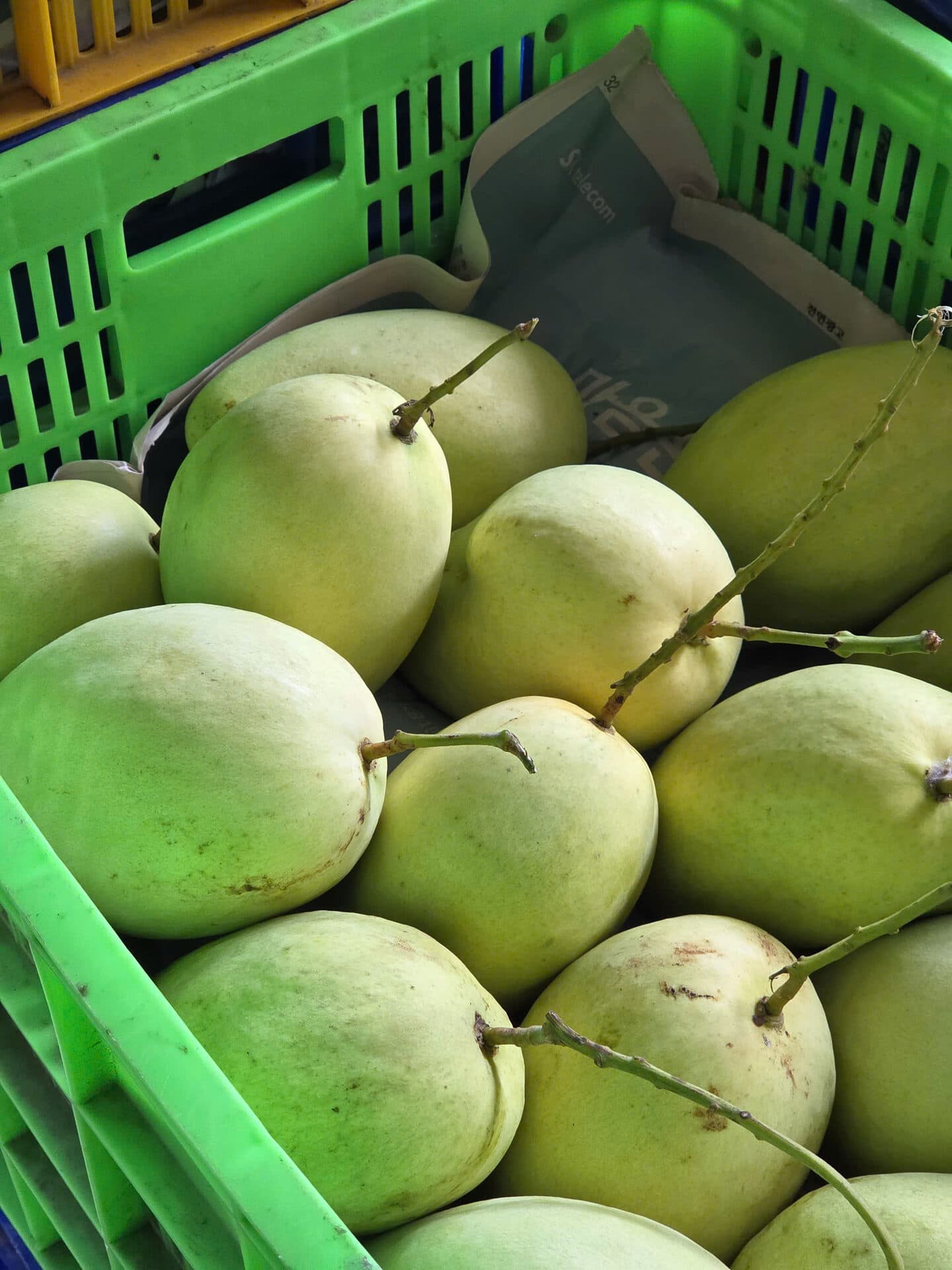 Xoài Bao Tử Ngâm — Công Thức Chuẩn + Cách Chọn Xoài Non