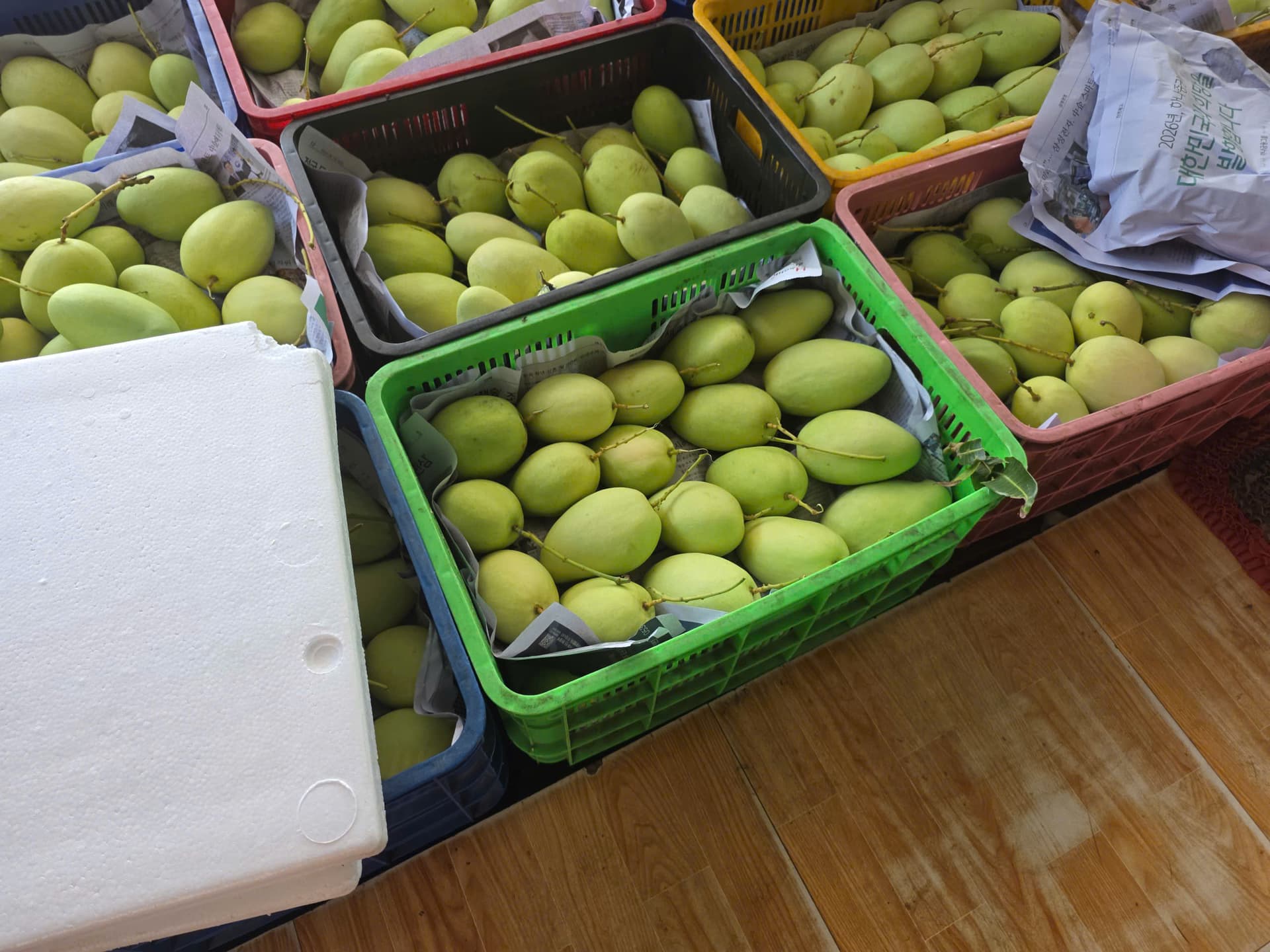 OCOP Xoài Tứ Quý Là Gì? Ý Nghĩa, Tiêu Chuẩn Và CDĐL Bến Tre