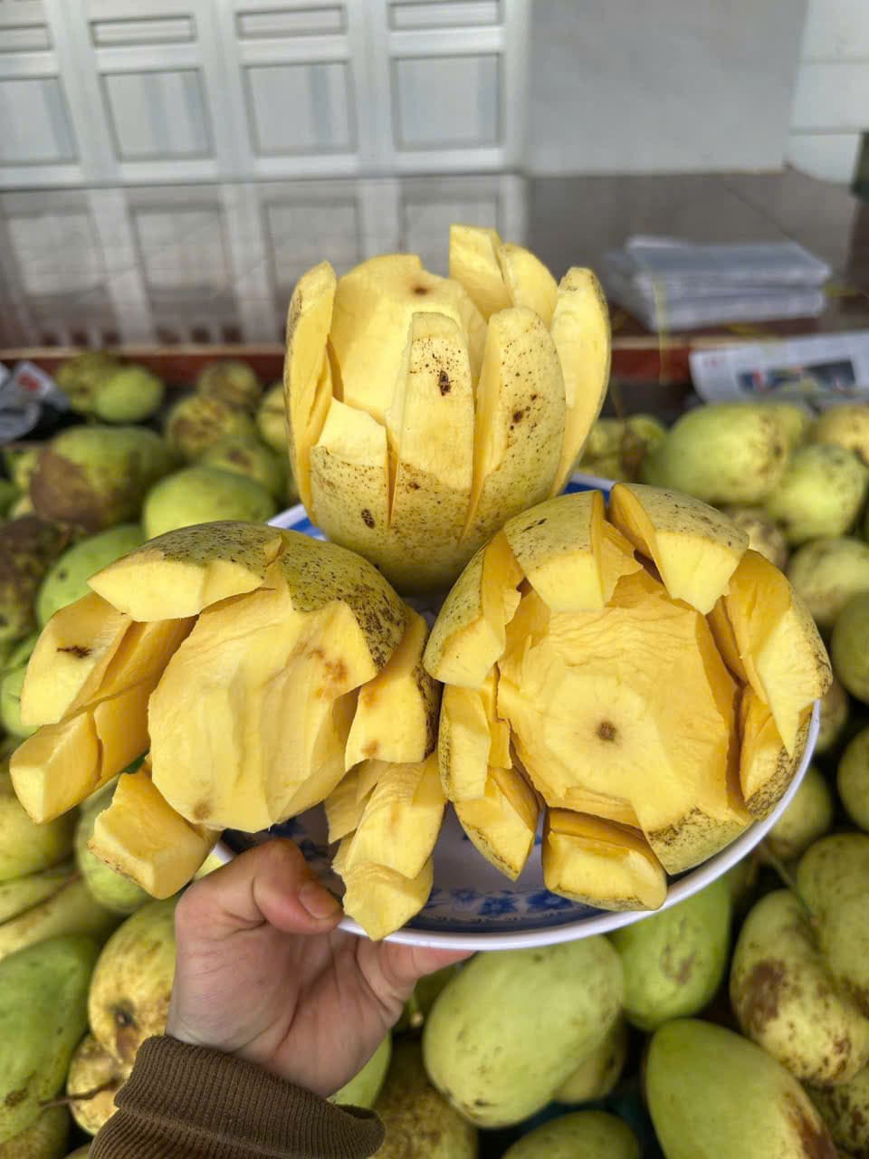 Xoài Tứ Quý bổ ra thịt vàng cam — 3 trái tại vựa Thạnh Phú