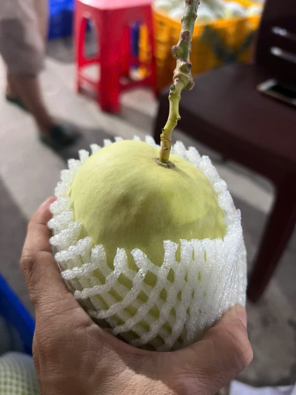 Xoài Tứ Quý VIP bọc lưới foam — đóng gói cẩn thận