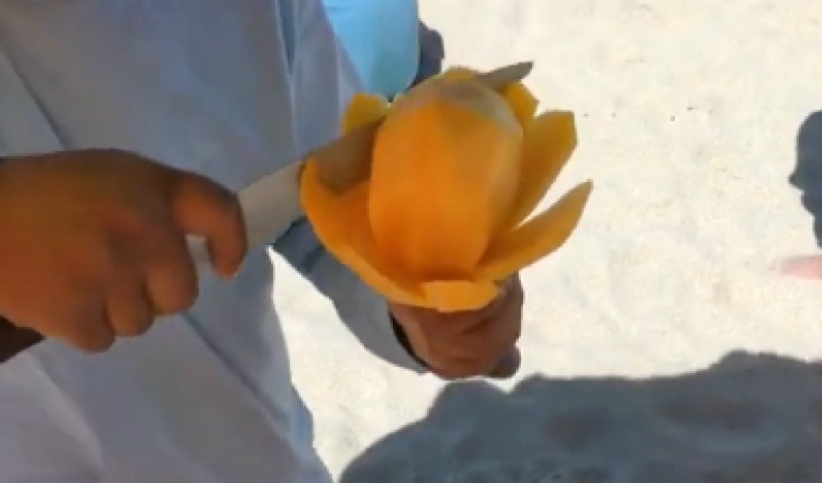 Giá Xoài Tứ Quý Tuần 25/2026 (15–21/6): Cao Điểm Trước Đoan Ngọ — ảnh thực tế từ vựa