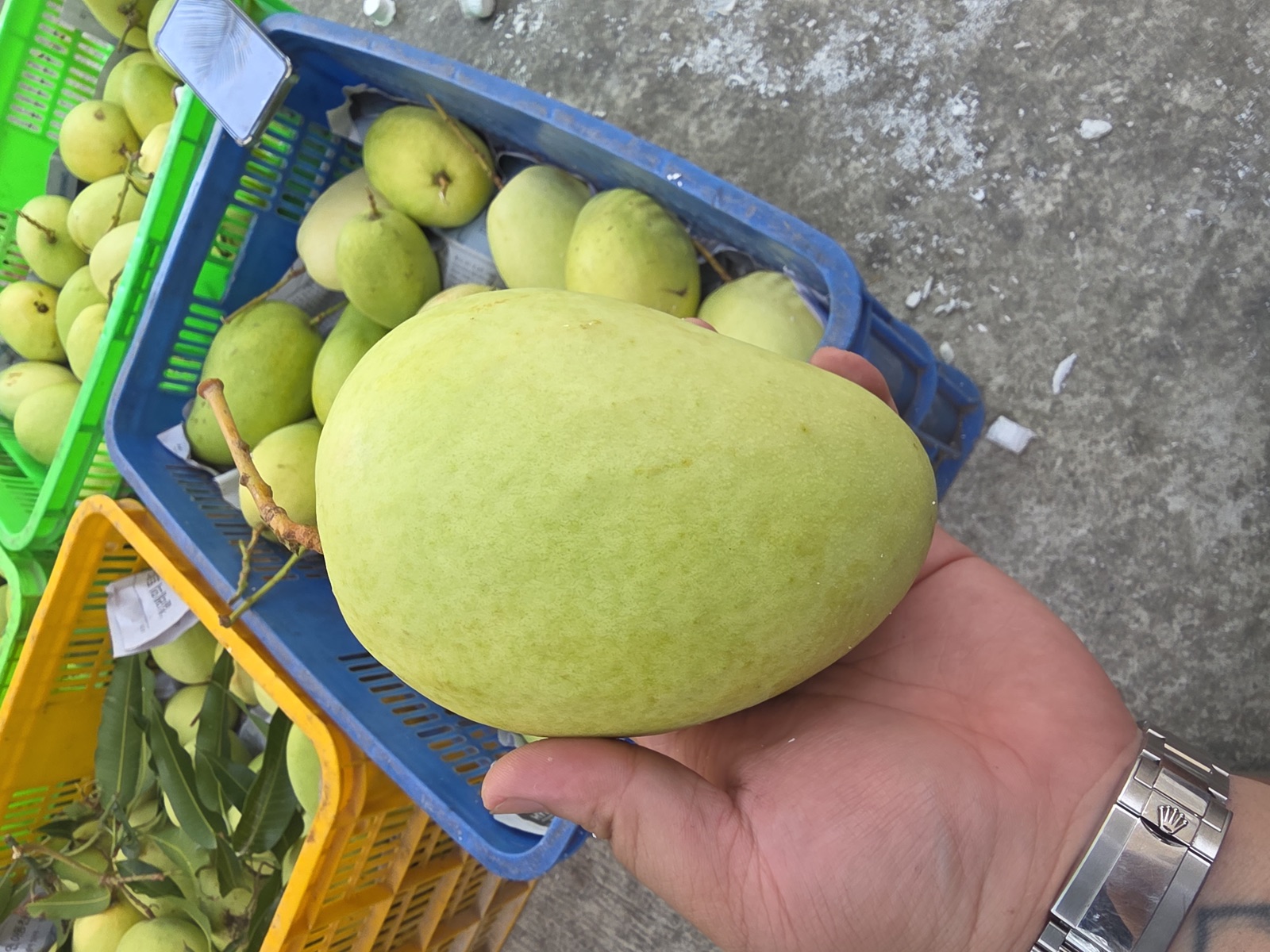 Xoài Xanh Chấm Mắm Ruốc — Công Thức Đúng Điệu Miền Tây — minh hoạ chi tiết